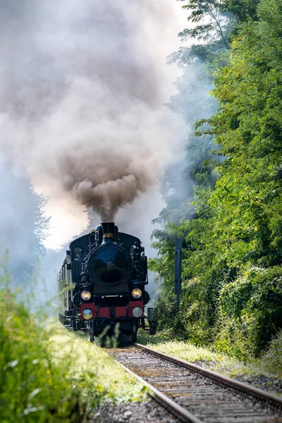 列車で蒸気機関車を — ストック写真