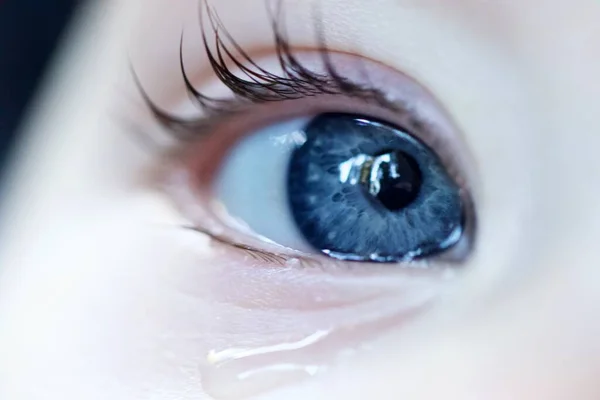 Schöne Frauenauge Mit Weißen Augen Nahaufnahme Auf Grauem Hintergrund — Stockfoto