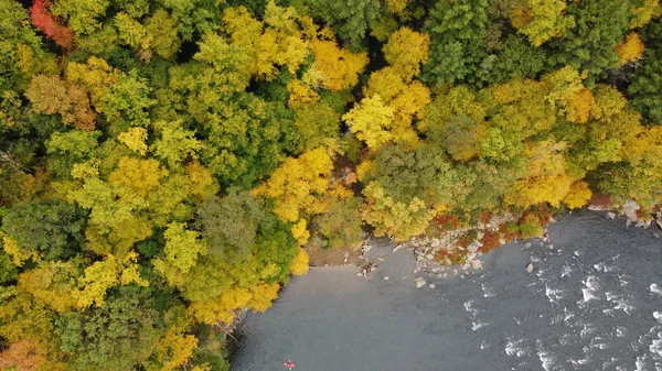 Vue Aérienne Ville Parc — Photo