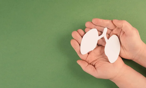 Female Hands Holding Paper Heart Green Background — Stock Photo, Image