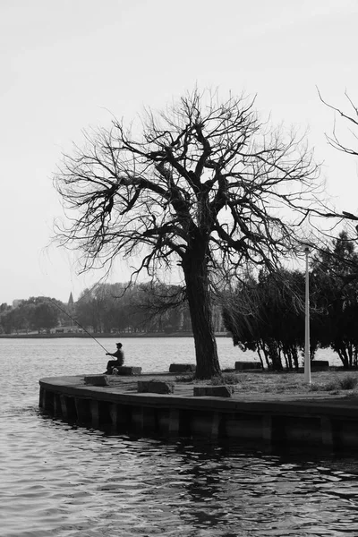 Man Fishing While Sitting Old Leaveless Creepy Tree — Fotografia de Stock