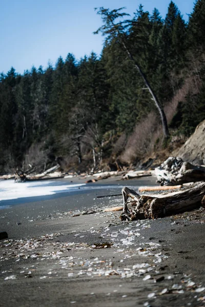 Une Belle Vue Sur Rivière Dans Les Montagnes — Photo