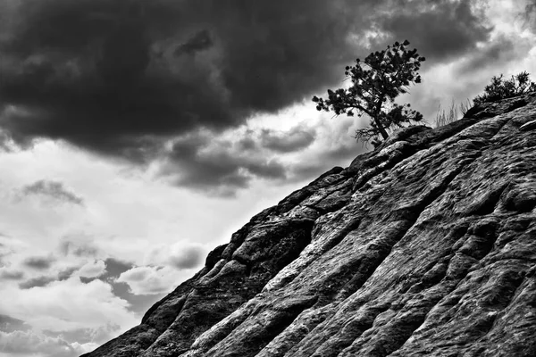 2009年6月5日 美国亚利桑那州窗口岩 一个闷热的天空爬到了一片孤独的灌木后面 灌木生长在山腰的裂缝中 — 图库照片