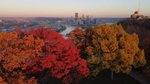 Autumn Landscape Trees Leaves — Stock Photo, Image