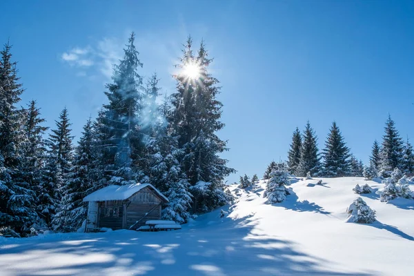 雪に覆われた木々の美しい冬の風景 — ストック写真