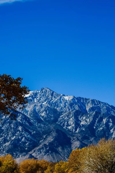 나무로 뒤덮인 아름다운 — 스톡 사진