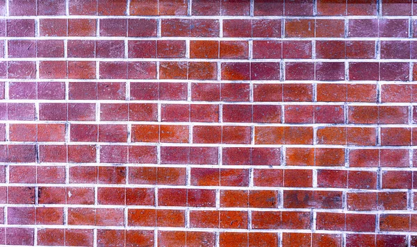 Mur Briques Fond Texture — Photo