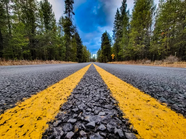 Asphalt Road Forest — Stock Photo, Image