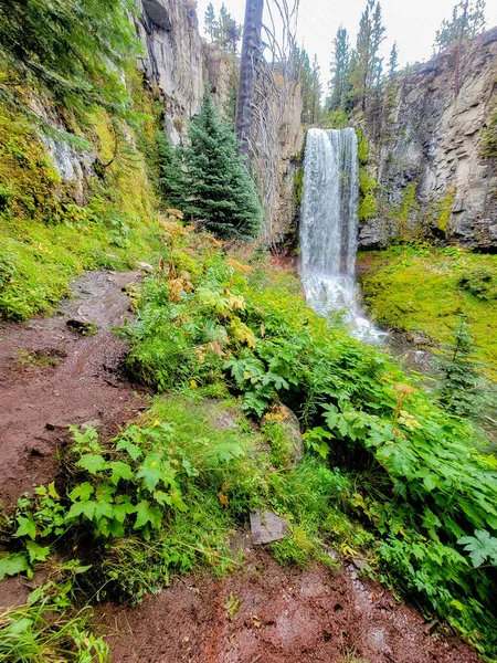 Schöner Wasserfall Wald — Stockfoto