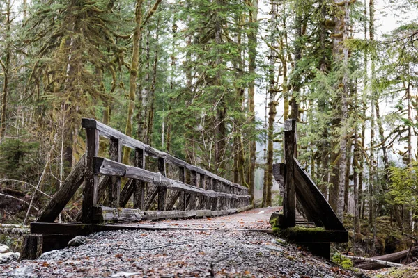 森の中の木製の橋 — ストック写真