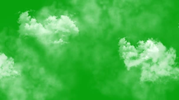 Animation Écran Vert Brouillard Pour Vfx — Video