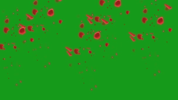 Falling Red Rose Petals Green Screen Animation Vfx — Stock Video