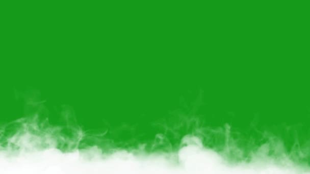 用于Vfx的白色雾绿色屏幕动画 — 图库视频影像