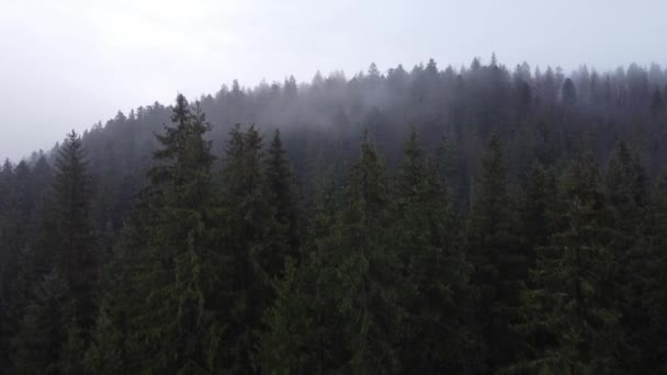 美丽的树木和山景 — 图库视频影像