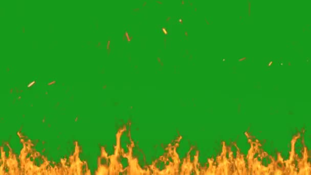 Fire Green Screen Animation Für Vfx — Stockvideo