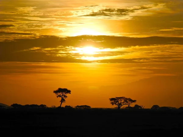 Por Sol Savana Kenya — Fotografia de Stock