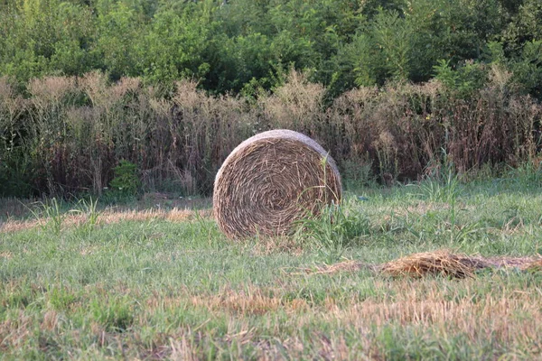 Hooibalen Het Veld — Stockfoto