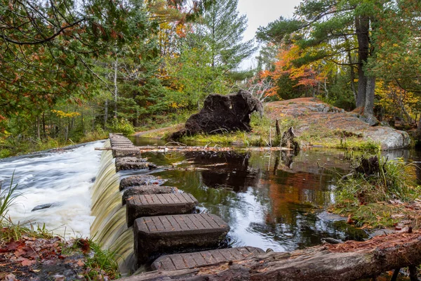 Schöne Herbstlandschaft Mit Bäumen Und Wald — Stockfoto