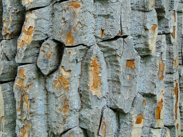 Vecchia Struttura Legno Con Motivi Naturali — Foto Stock