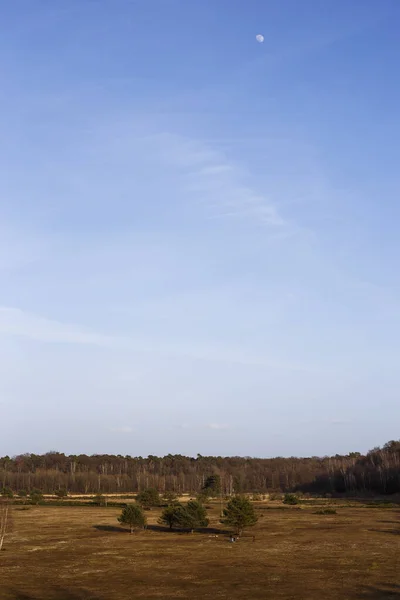 Prachtig Uitzicht Natuur — Stockfoto