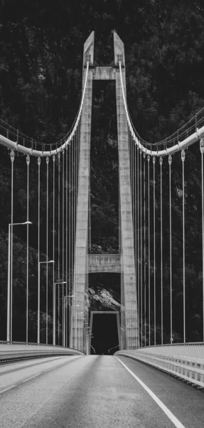 Foto Bianco Nero Del Ponte Nella Città Londra — Foto Stock