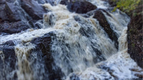 Vakker Foss Skogen – stockfoto