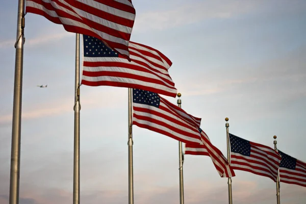 Rad Amerikanska Flaggor Som Blåser Vinden Nära Soluppgången Med Ett — Stockfoto