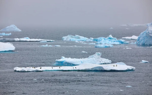 Iceberg Nieve — Foto de Stock