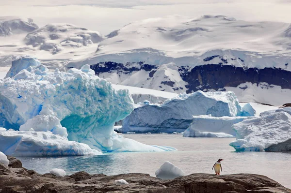 北極のラグーンの氷山は — ストック写真