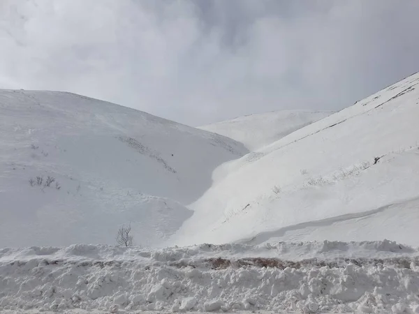 Karlı Güzel Bir Manzara — Stok fotoğraf