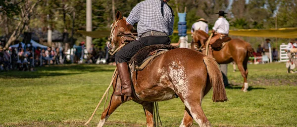 フィールドに馬に乗っている男は — ストック写真