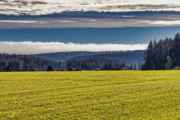 Krásná Krajina Polem Zelené Trávy Zataženou Oblohou — Stock fotografie