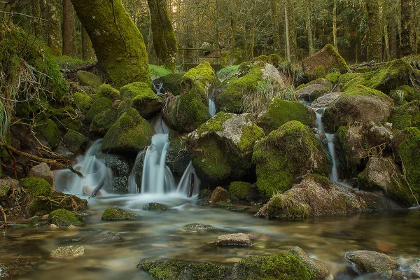 Vackert Vattenfall Skogen — Stockfoto