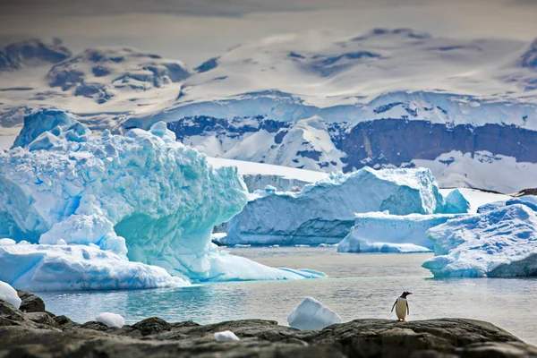 Айсберг Арктичному Морі Айсберг — стокове фото