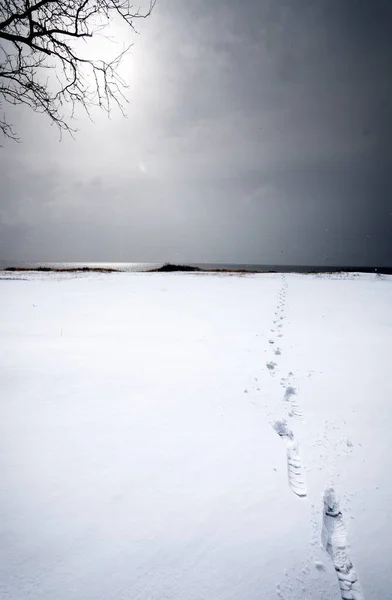 Paysage Hivernal Avec Neige Glace — Photo