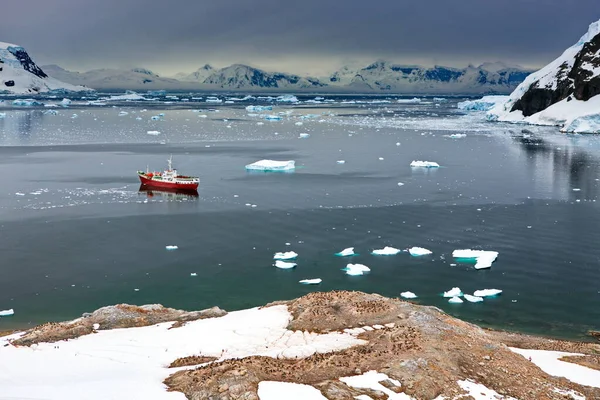 Красивий Пейзаж Антарктичного Моря — стокове фото