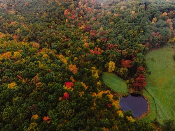 Vanuit Lucht Uitzicht Het Bos Ochtend — Stockfoto