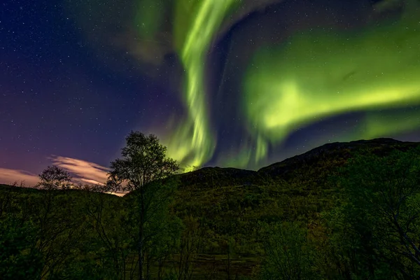 Northern Lights Night Sky — Stock Photo, Image