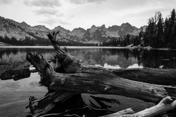 Ασπρόμαυρη Φωτογραφία Μιας Λίμνης Στα Βουνά — Φωτογραφία Αρχείου