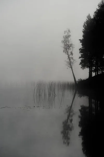 Swedish Lake Morning Mist — Stock Photo, Image