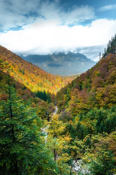 カラフルな木々が美しい秋の風景 — ストック写真