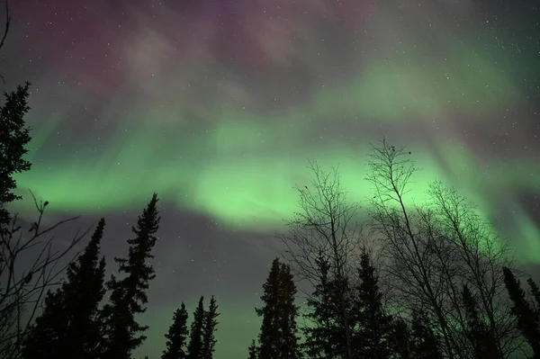 Aurores Boréales Dans Ciel Nocturne — Photo