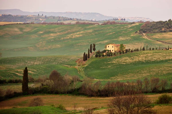 Campagna Toscana Paesaggio Con Verdi Colline Campi — Foto Stock