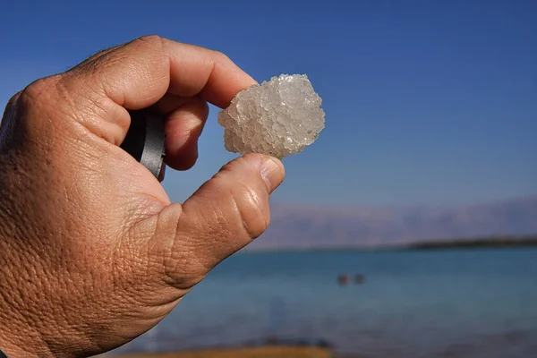 hand holding a rock on a beach