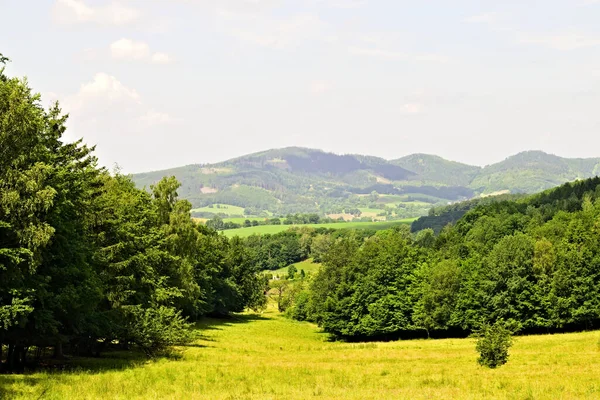 Schöne Landschaft Mit Grünen Bäumen Und Blauem Himmel — Stockfoto