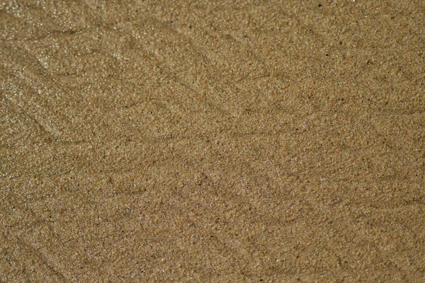 沙质背景 — 图库照片