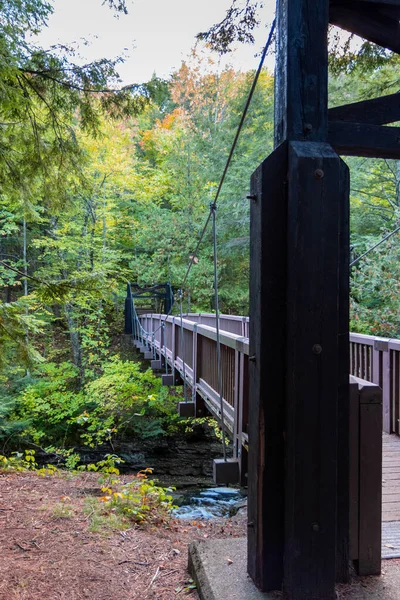公園内の木製の橋 — ストック写真