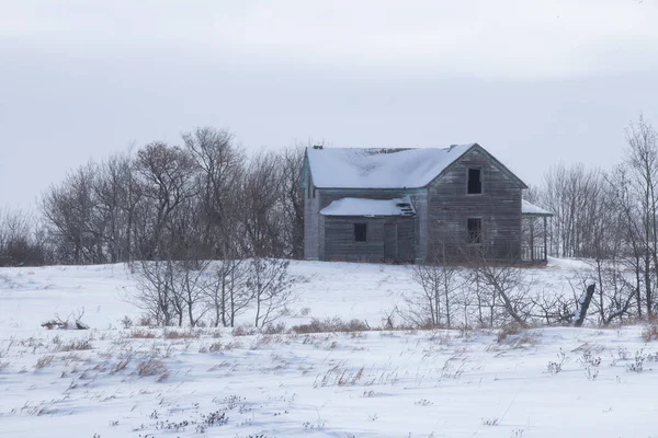 Paysage Hivernal Avec Arbres Enneigés — Photo