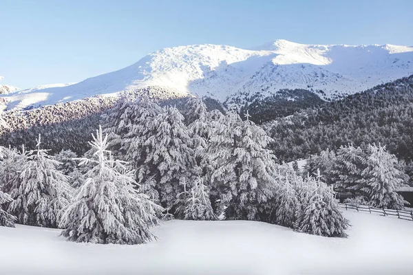 シエラ グアダラマの雪景色 マドリード — ストック写真