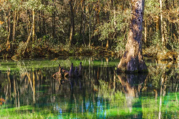 Hermoso Paisaje Con Lago Fondo —  Fotos de Stock